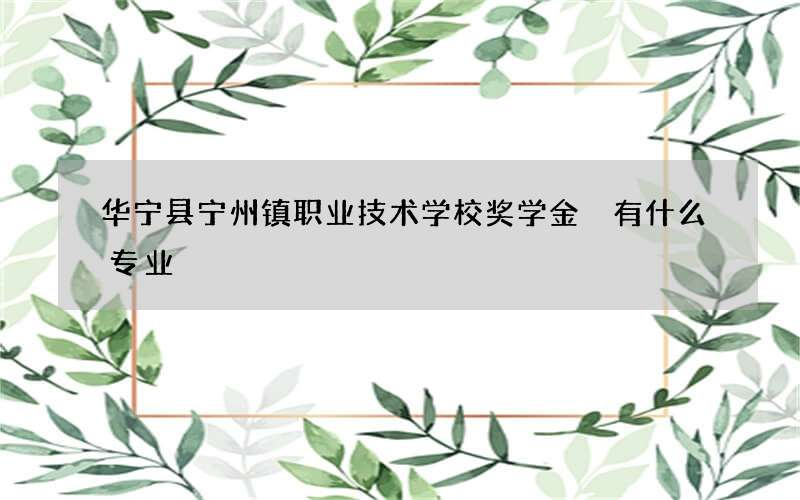 华宁县宁州镇职业技术学校奖学金 有什么专业